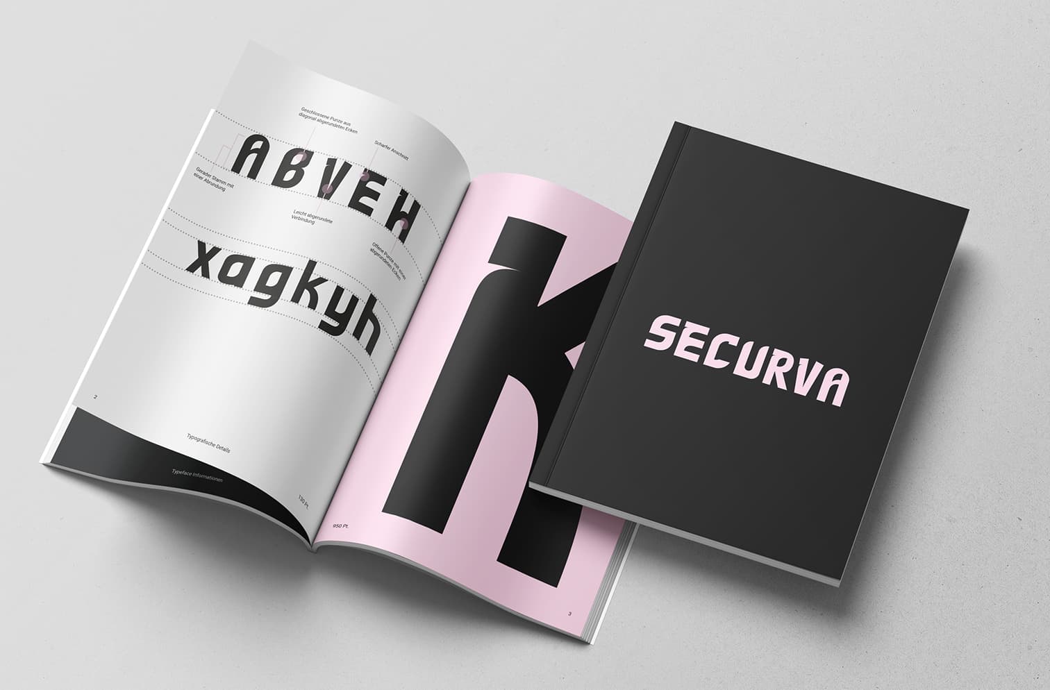 Abbildung des Specimens